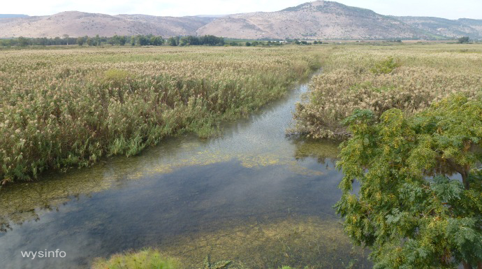 Swamps in Hula valley